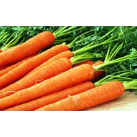Морковь 2 сорт